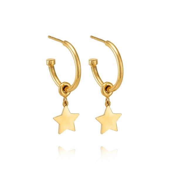 Small Star hoops