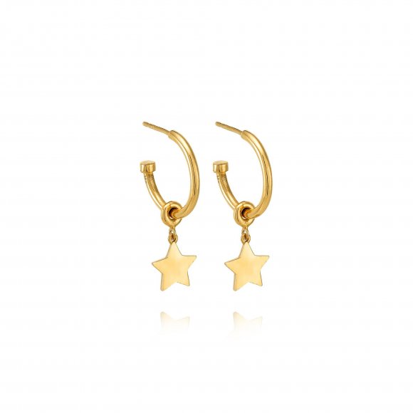SMALL STAR HOOPS