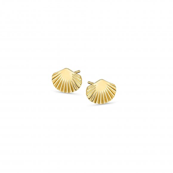 SHELL STUDS