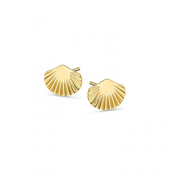 Shell studs